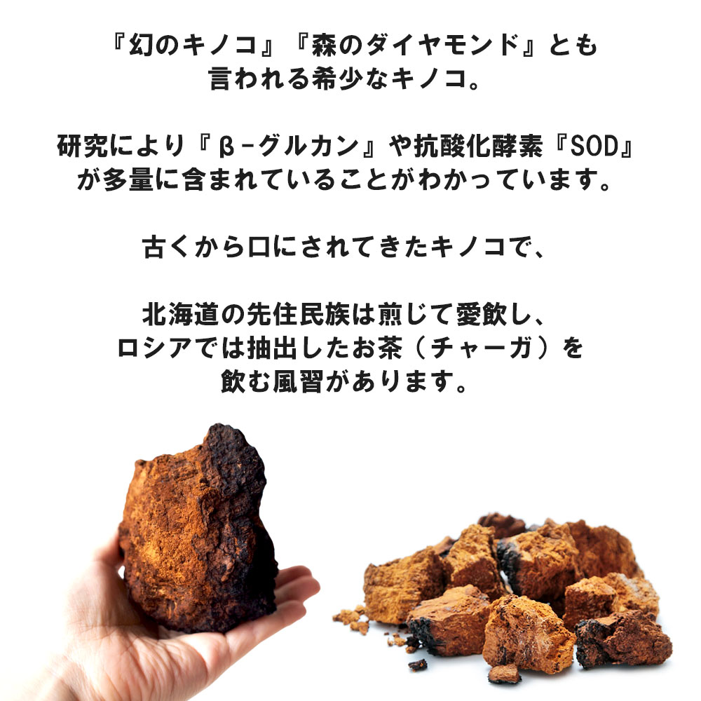 カバノアナタケ 塊 100g 北海道産 国産 送料無料 β-グルカン 抗酸化酵素 SOD 白樺 樺のあなたけ 無添加 ダケカンバ : fms-009  : 北海道美食生活 - 通販 - Yahoo!ショッピング