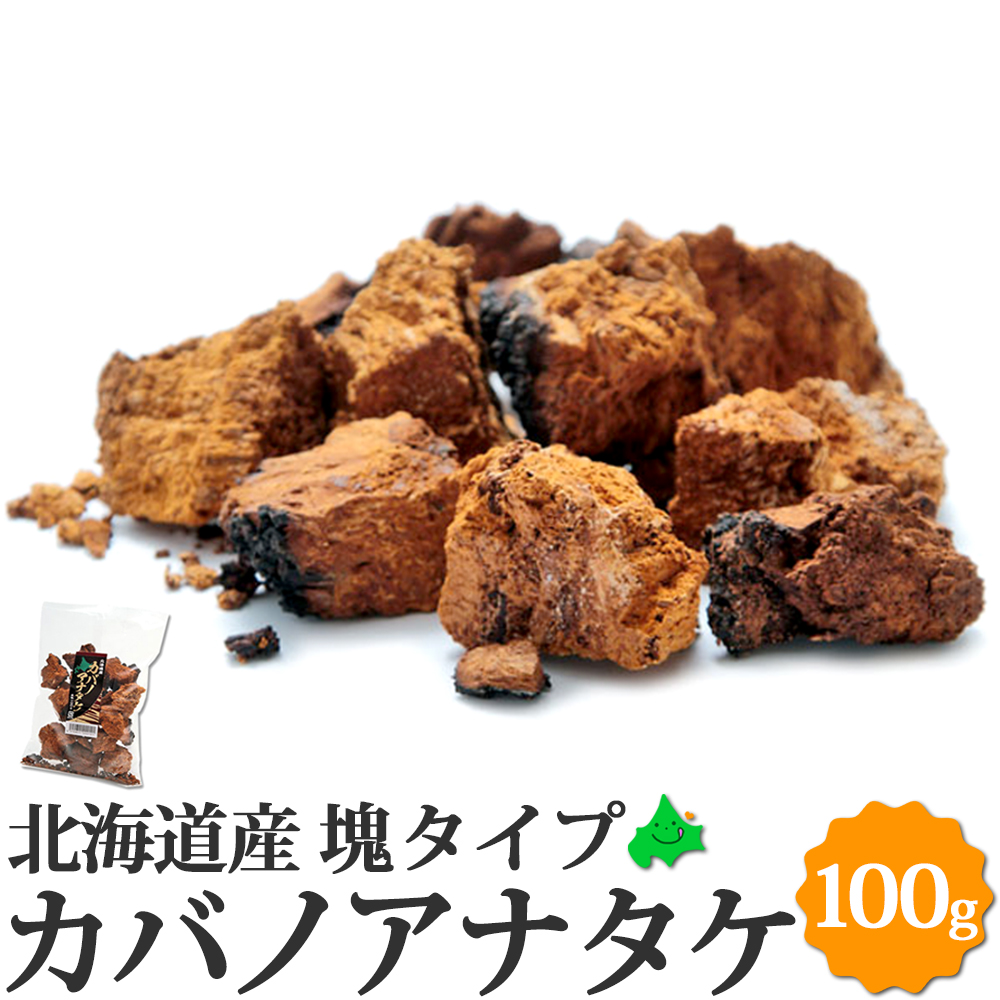 カバノアナタケ 塊 100g 北海道産 国産 送料無料 β-グルカン 抗酸化