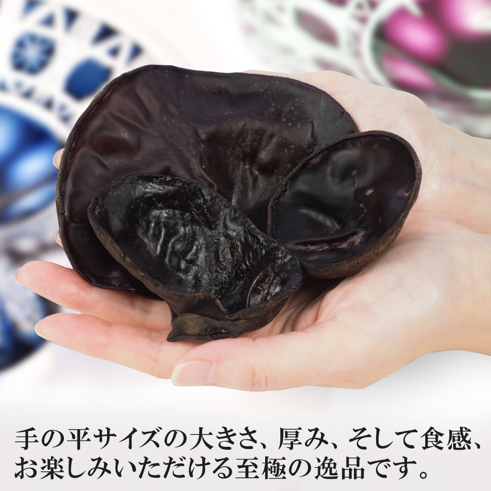 手のひらサイズのきくらげ