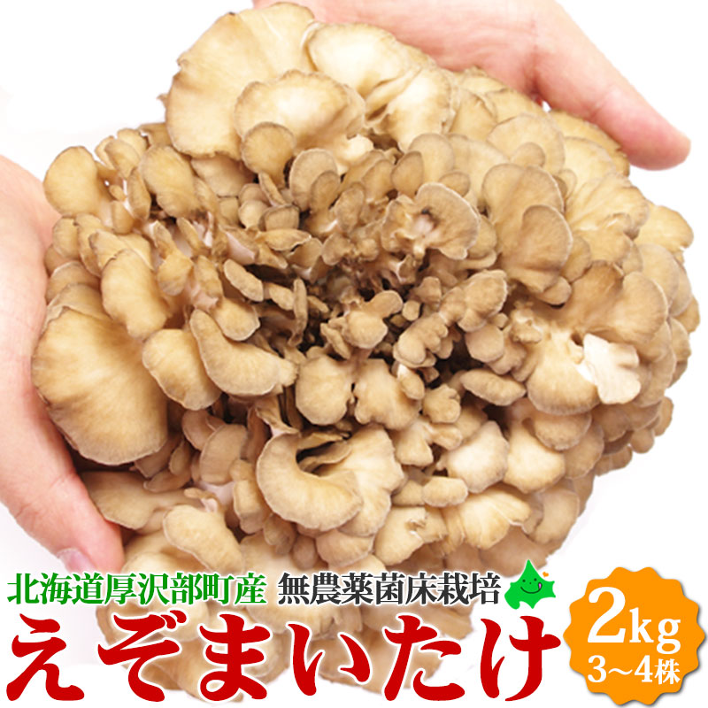極上の香りと至福の食感エゾマイタケ