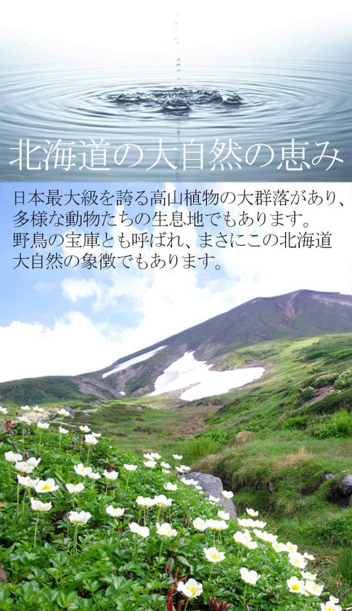 カムイミンタラ 湧水