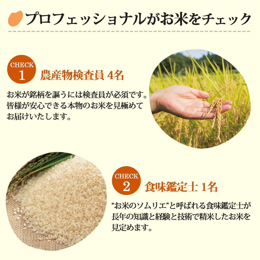 ふっくりんこ 5kg 北海道産 お米 令和6年 道産米 おこめ 北海道
