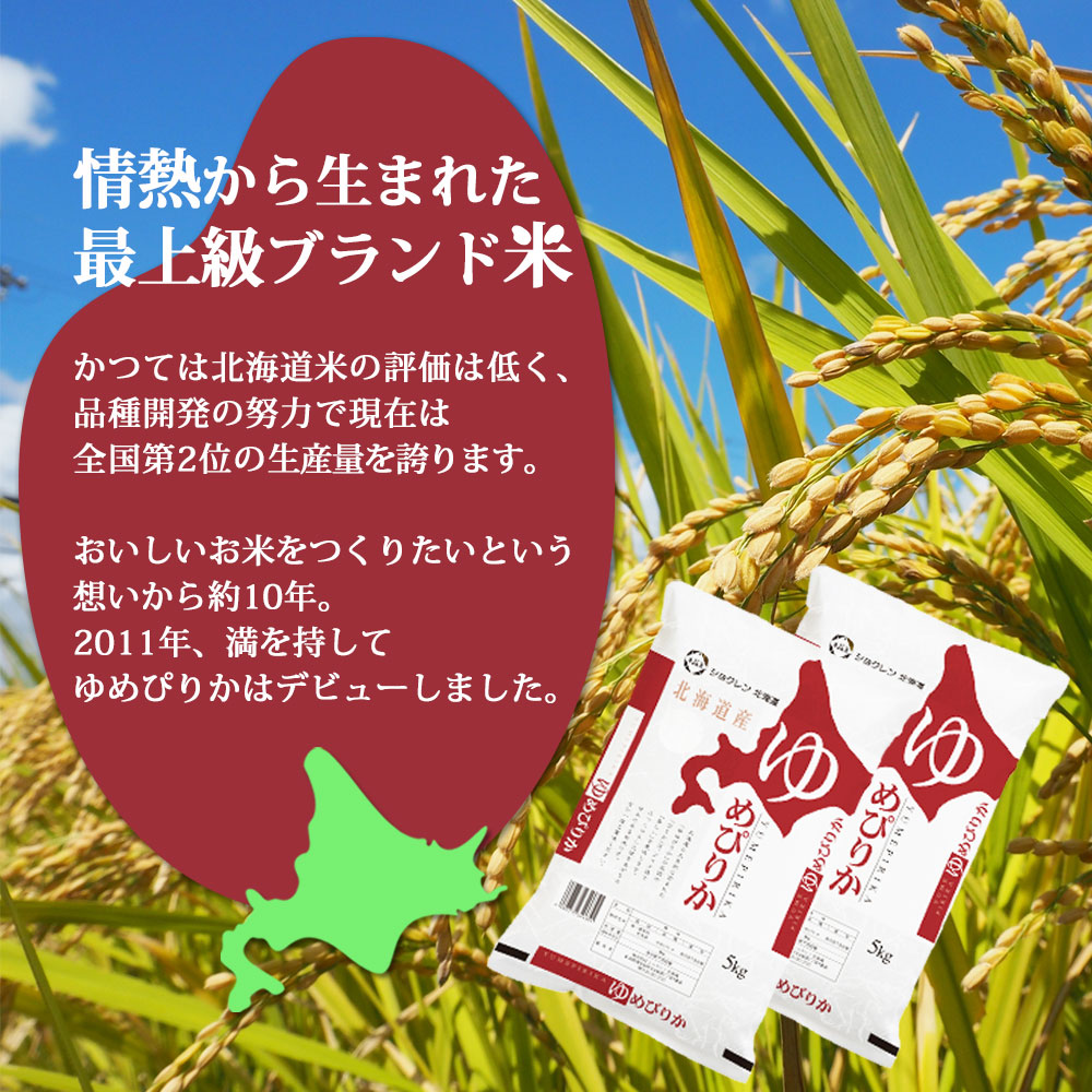 特Aランク】令和6年北海道産ゆめぴりか10kg（5kg×2袋