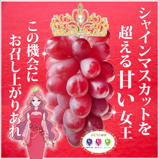 【オンラインショップ】【お値下げ】シャインより甘いぶどうって？あま～いブドウならこれで決定！