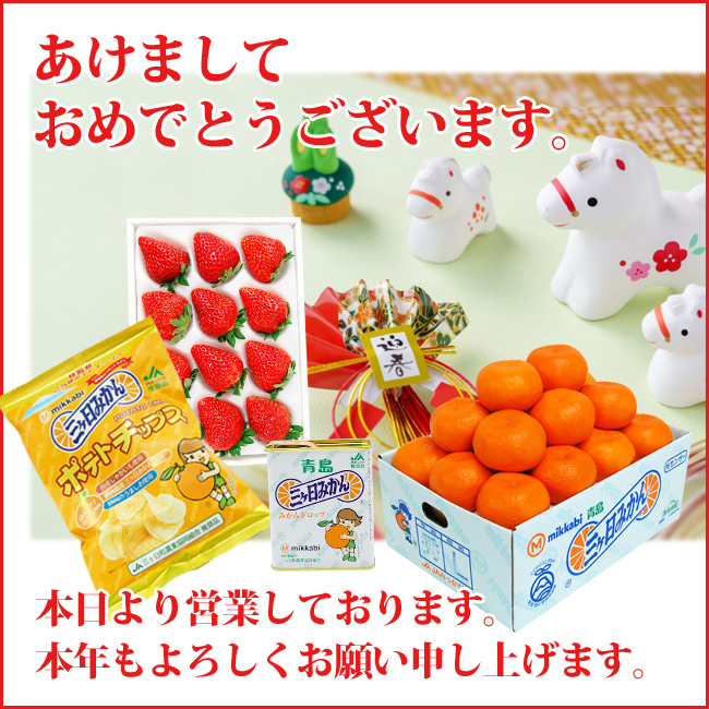 【オンラインショップ】【店舗情報】明けましておめでとうございます。本日より通常営業しております。