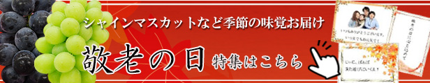 敬老の日特集