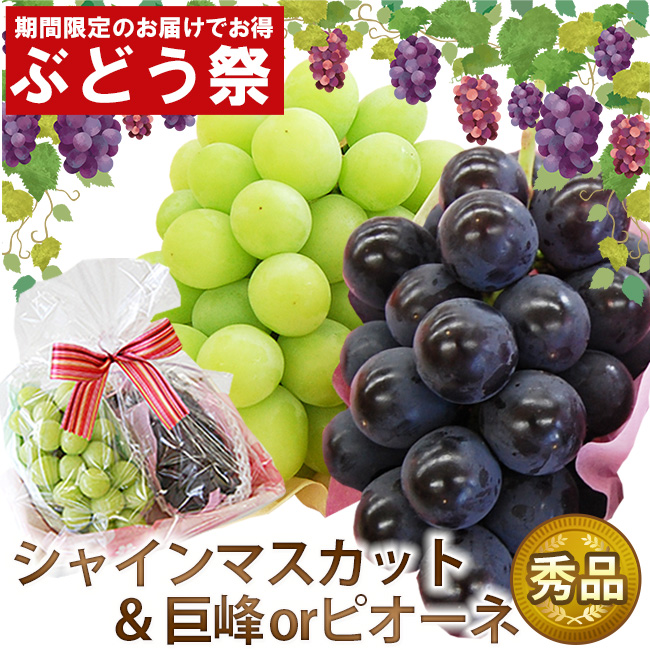 シャキ