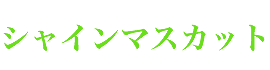 【お中元や夏のギフトに】桃、梨、ぶどう、ハウスみかんの入ったプレミアムフルーツギフト
