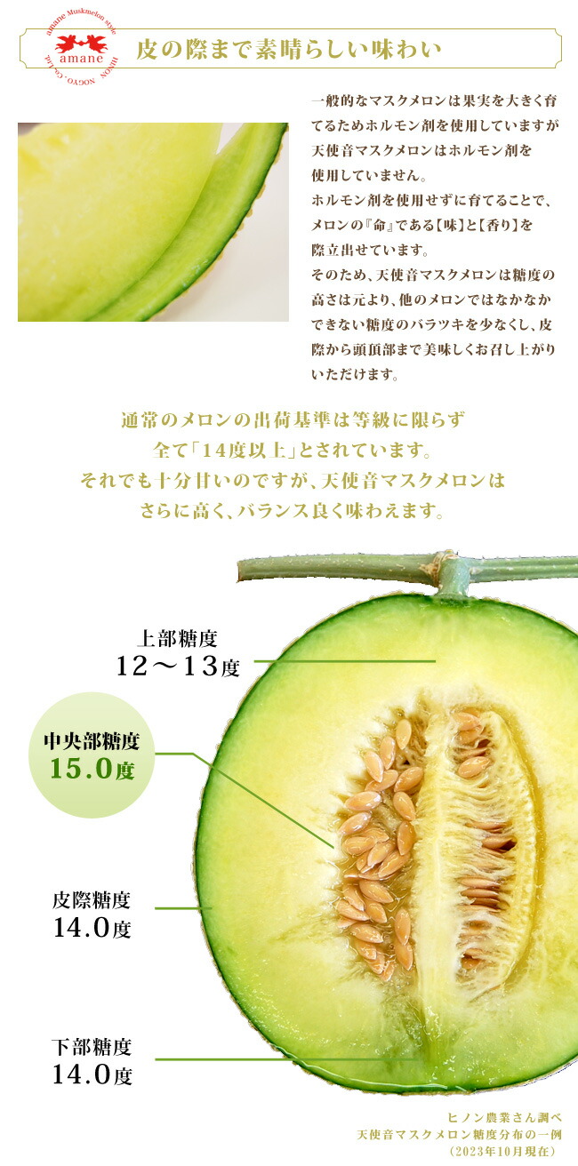 組合を脱退してまで作りたかった天使音メロンとの運命の出会い。味を追求し苦労の末誕生した生産者さんの思いの詰まった天使音メロン