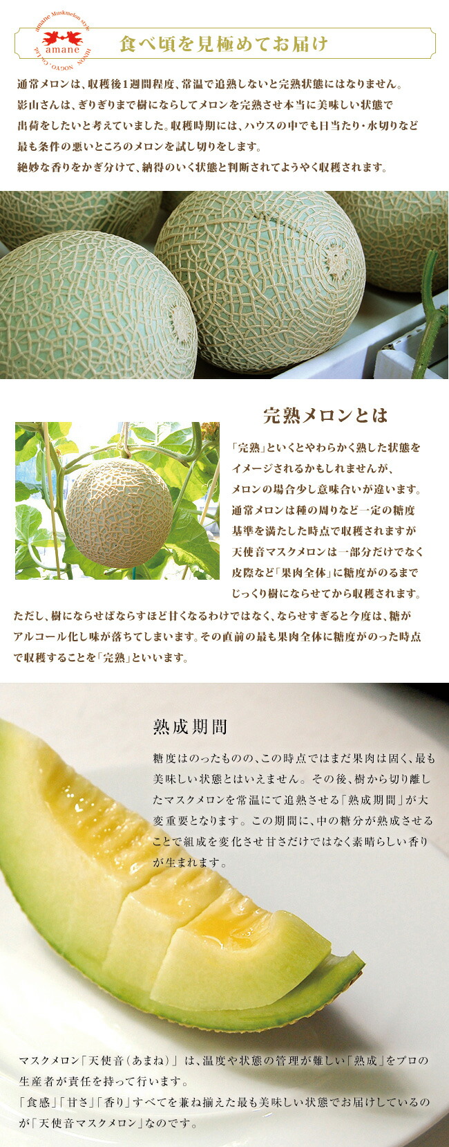 天使音メロンが美味しい理由