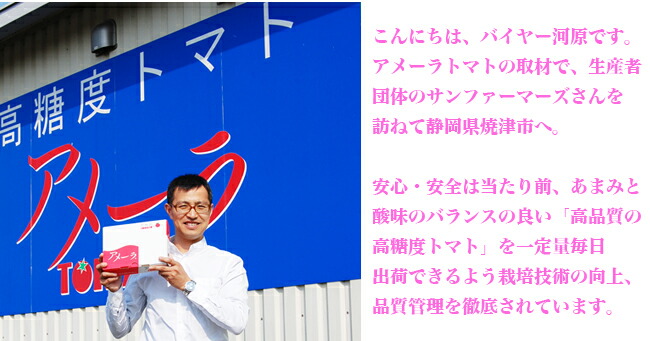 想像を超える素晴らしい甘さ。アメーラトマト