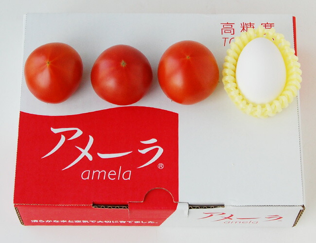 驚きの美味しさアメーラトマト