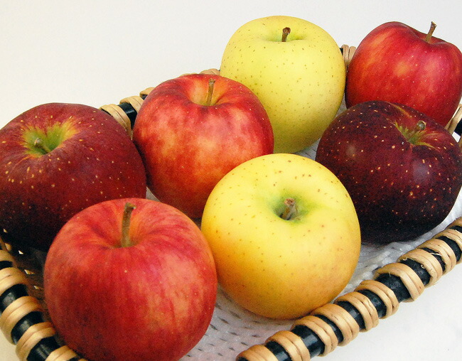 【お祝いや内祝い、秋のギフトに】りんご、梨、ぶどう、柿の入ったラッピング果物セット