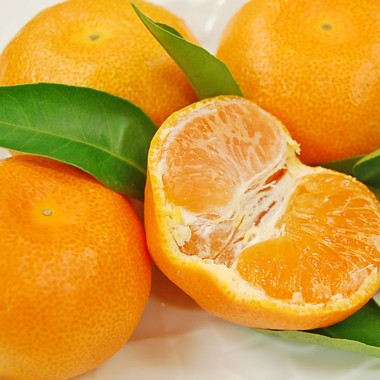 【お中元や夏のギフトに】メロンとハウスみかんの豪華フルーツギフト