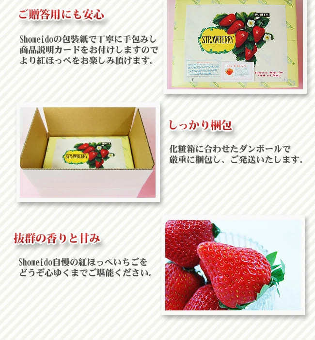お祝いやお誕生日プレゼントにもどうぞ！紅ほっぺいちご