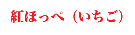 紅ほっぺいちごの説明