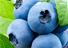 国産大粒ブルーベリー