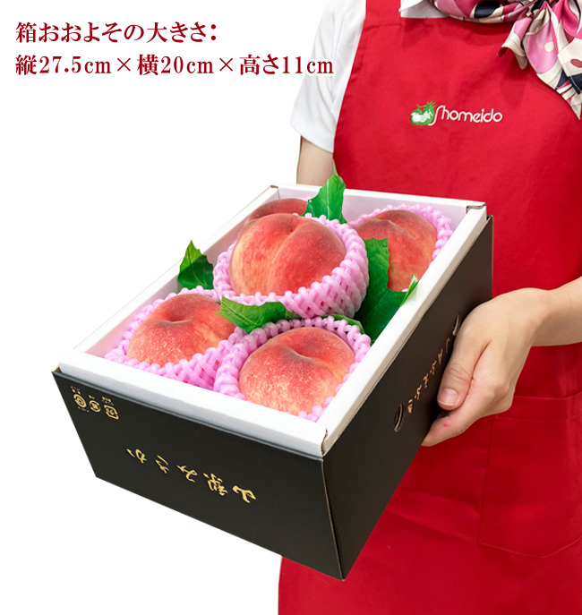 大糖領専用の化粧箱サイズ