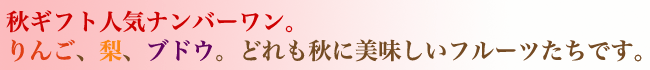 【秋のフルーツギフト】りんご、梨、ぶどうの入った秋のラッピング果物セット