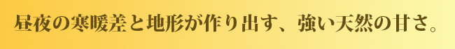 昼夜の寒暖さと地形が作り出す、強い天然の甘さ