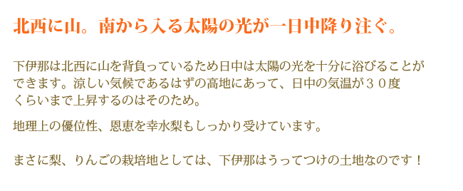 北西に山。南から入る太陽の光が一日中降り注ぐ