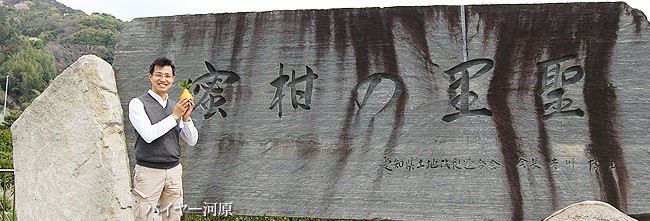 蒲郡産高級温室みかんハウス取材写真
