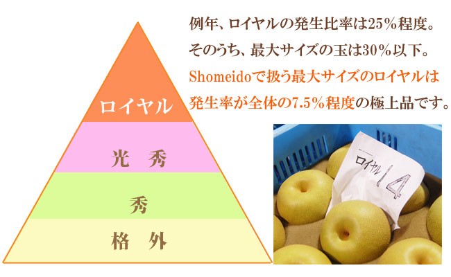 ロイヤルの発生率はわずか