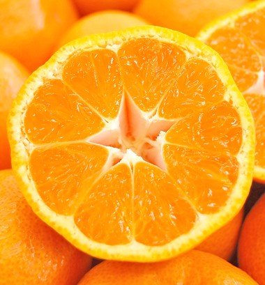 【加藤柑橘園】青島三ケ日みかんジュースは渋みを取り除くためにみかんを１個１個手剥きしています