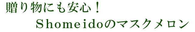 Shomeidoの静岡産マスクメロン