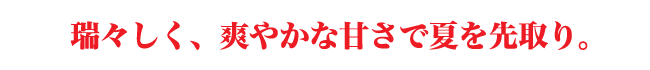熊本産光センサーほくぶすいか