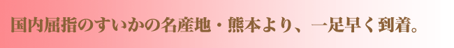 熊本産光センサーほくぶすいか