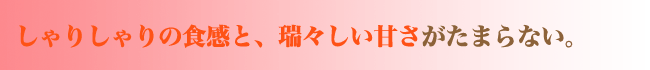 熊本産光センサーほくぶすいか