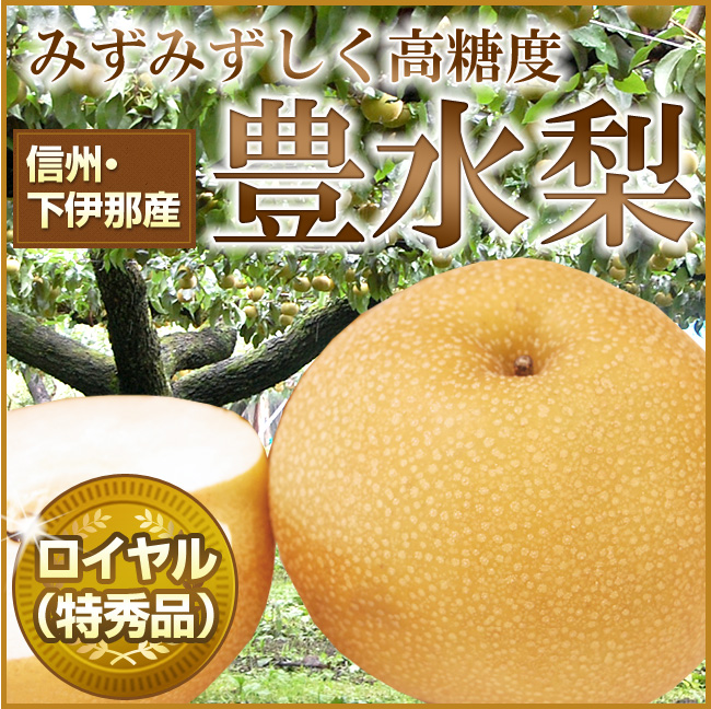 長野県下伊那産 豊水梨【ロイヤル（特秀品）】