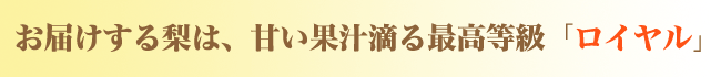 長野県下伊那産 豊水梨【ロイヤル（特秀品）】
