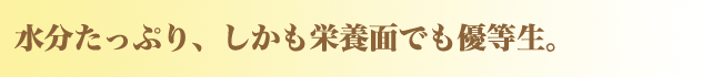 長野県下伊那産 豊水梨【ロイヤル（特秀品）】