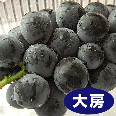 【お中元や夏のギフトに】桃、梨、ぶどう、ハウスみかんの入ったプレミアムフルーツギフト