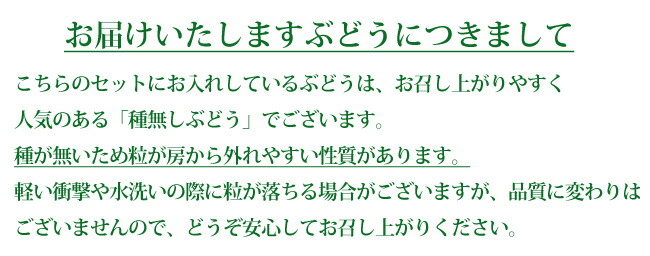 こちらのぶどうは種無しぶどうです。種が無いため房からぶどうが落ちやすい性質がありますが品質には問題ありませんのでご安心くださいませ