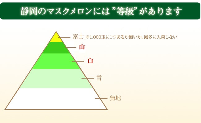 Shomeidoの静岡産マスクメロン