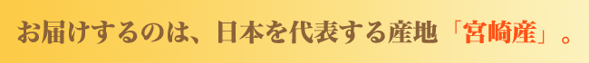 宮崎産完熟マンゴー