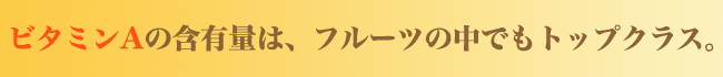宮崎産完熟マンゴー