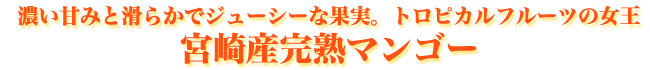 宮崎産完熟マンゴー