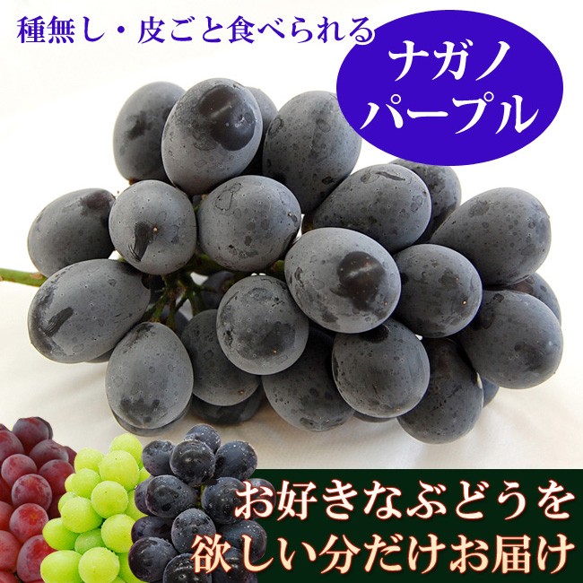 ナガノパープル
