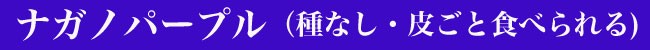 大人気のナガノパープル