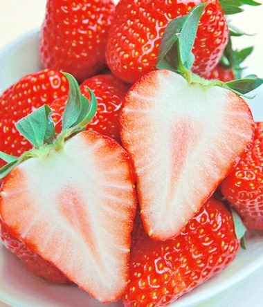 お祝いやお誕生日プレゼントにもどうぞ！チョコとの相性も抜群の紅ほっぺいちご