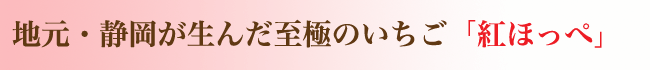 お祝いやお誕生日プレゼントにもどうぞ！紅ほっぺいちご