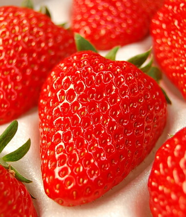 お祝いやお誕生日プレゼントにもどうぞ！紅ほっぺいちご