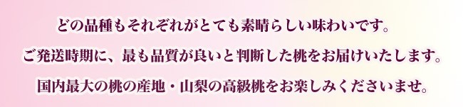 ご発送時期に入荷する最も美味しい品種をお届けいたします