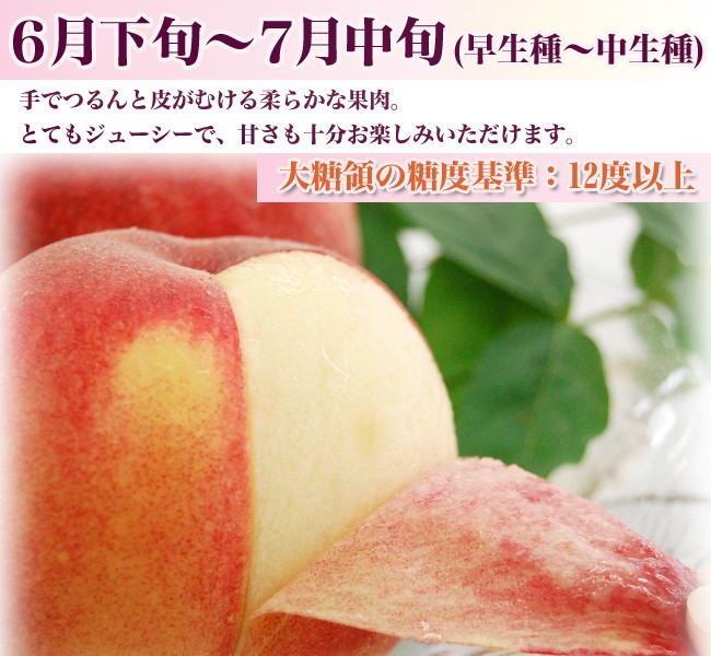 早生種〜中生種の大糖領の糖度基準は12度以上
