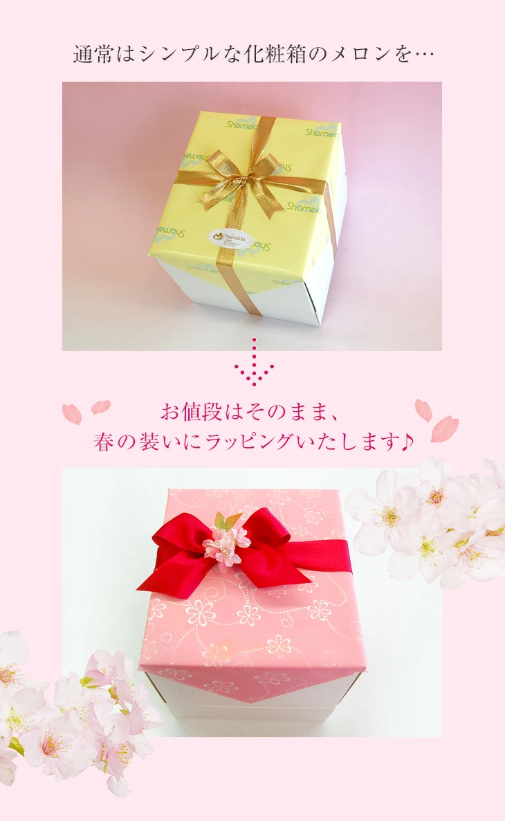 お祝いや内祝いにラッピングメロン