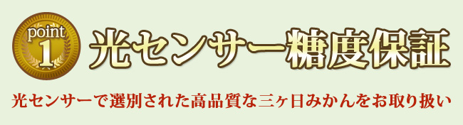 光センサーで選別された高品質な三ヶ日みかんをお取り扱い